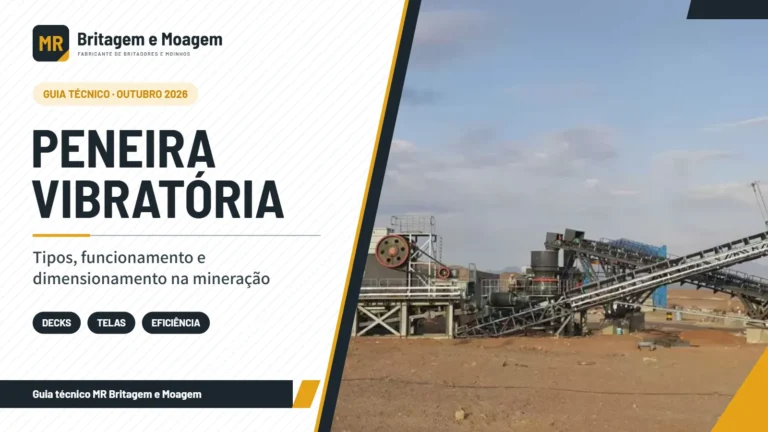 Capa do guia sobre peneira vibratória